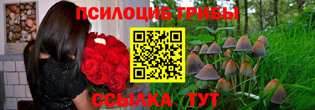 Алатырь  Псилоцибиновые грибы GOLDEN TEACHER  Галлюциногенные грибы мухоморы  Вход с VPN 