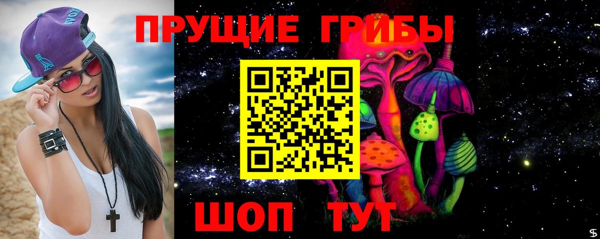 Псилоцибиновые грибы Psilocybine cubensis Алатырь